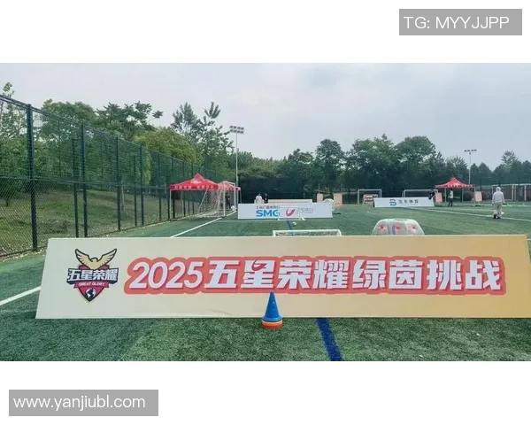 推动地方足球发展政策建足球场补贴助力青少年体育成长 推动地方足球发展政策建足球场补贴助力青少年体育成长